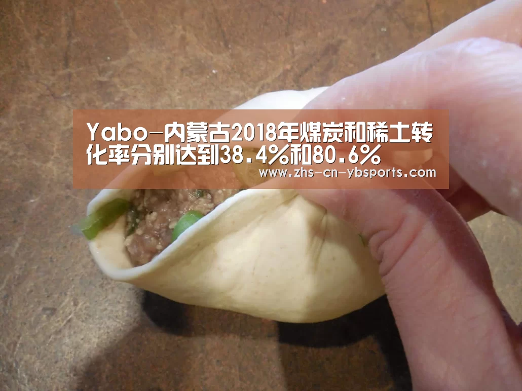 Yabo-内蒙古2018年煤炭和稀土转化率分别达到38.4%和80.6%(图3) 亚博官网